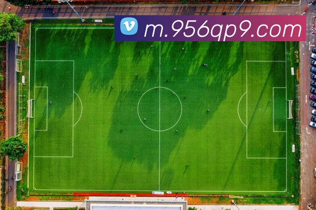 App Interface Preview