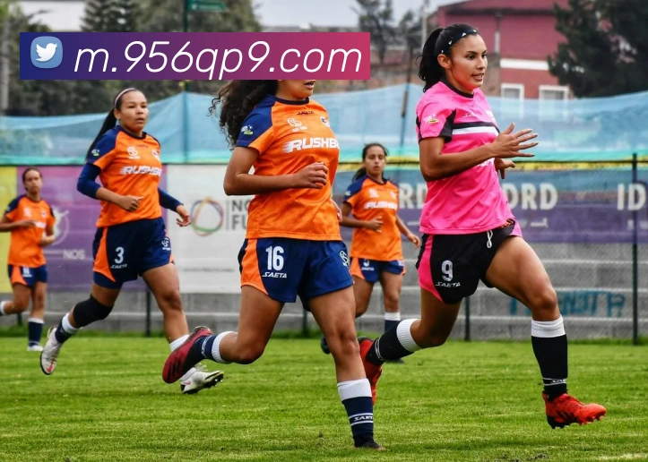 天天棋牌APP 封面图